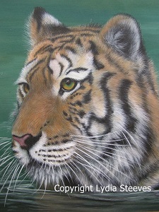 Young Tiger in the Water Acrylic e-Packet